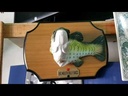 youtube - [Video]