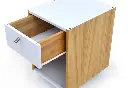 cajonerahormigaemergente.webp