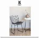 sillasbertoia1.webp