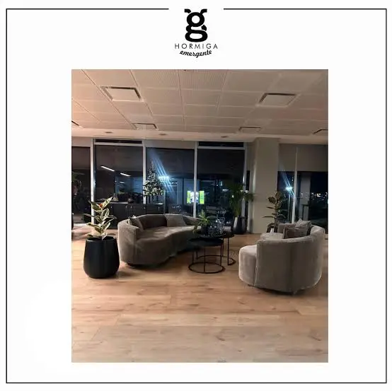 Proyecto sofa 2 Bayres Gris para Oficina