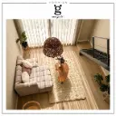 Proyecto Living con Sofá Nube | Hormiga Emergente