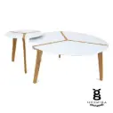 Mesa ratona PICA